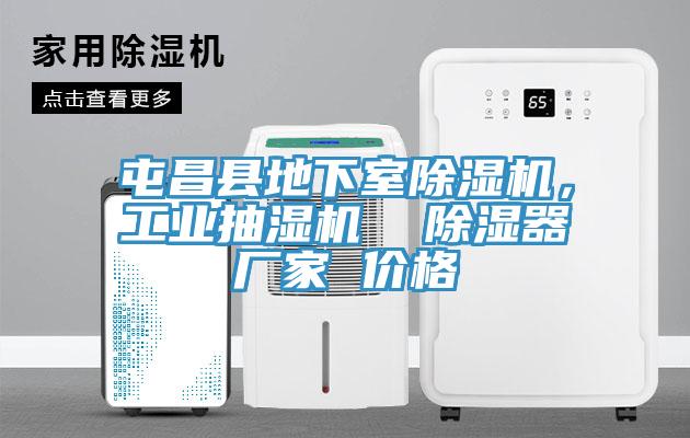 屯昌縣地下室榴莲视频官网APP，工業抽濕機  除濕器廠家 價格