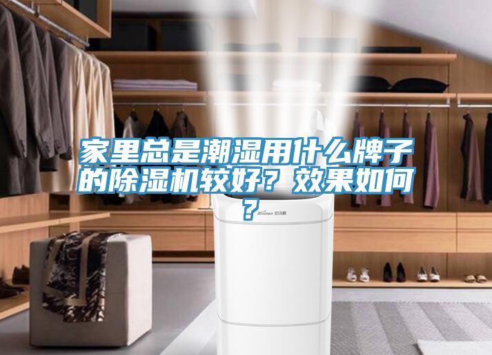 家裏總是潮濕用什麽牌子的榴莲视频官网APP較好？效果如何？