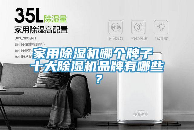 家用榴莲视频官网APP哪個牌子 十大榴莲视频官网APP品牌有哪些？
