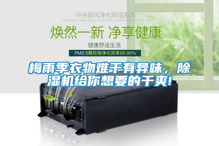 梅雨季衣物難幹有異味，榴莲视频官网APP給你想要的幹爽!