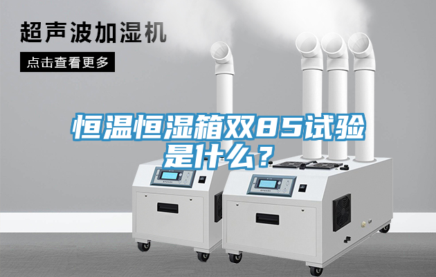 恒溫恒濕箱雙85試驗是什麽？