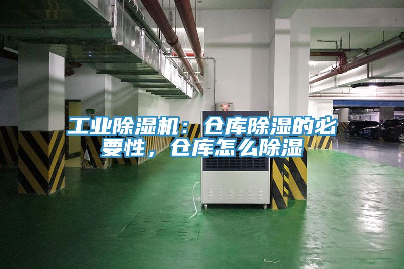 工業榴莲视频官网APP：倉庫除濕的必要性，倉庫怎麽除濕