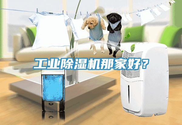 工業榴莲视频官网APP那家好？