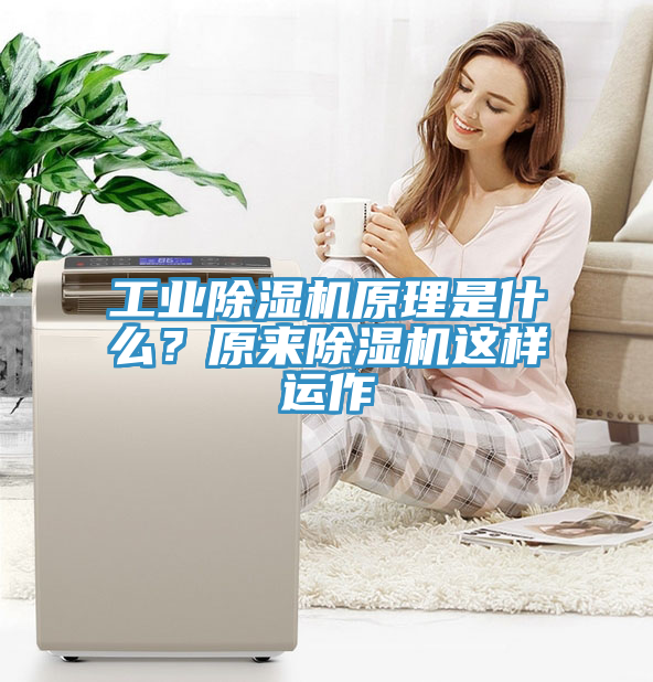 工業榴莲视频官网APP原理是什麽？原來榴莲视频官网APP這樣運作