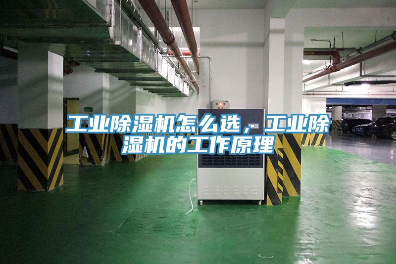 工業榴莲视频官网APP怎麽選，工業榴莲视频官网APP的工作原理