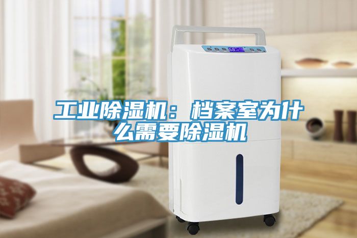 工業榴莲视频官网APP：檔案室為什麽需要榴莲视频官网APP