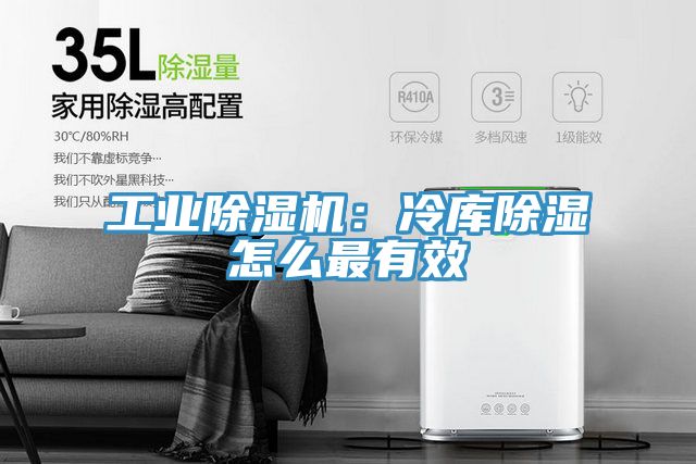 工業榴莲视频官网APP：冷庫除濕怎麽最有效