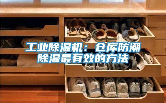 工業榴莲视频官网APP：倉庫防潮除濕最有效的方法