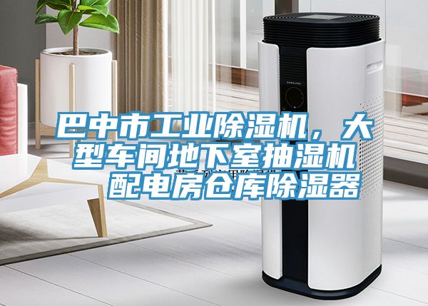 巴中市工業榴莲视频官网APP，大型車間地下室抽濕機  配電房倉庫除濕器
