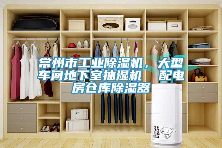 常州市工業榴莲视频官网APP，大型車間地下室抽濕機  配電房倉庫除濕器