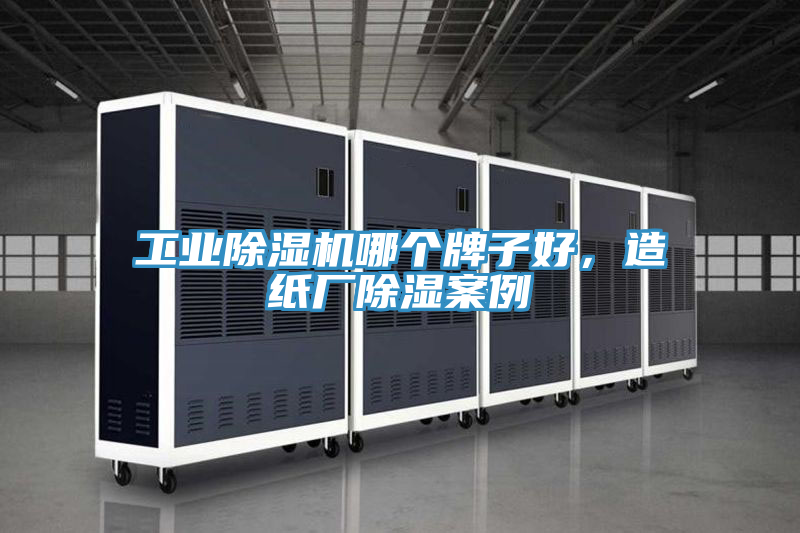工業榴莲视频官网APP哪個牌子好，造紙廠除濕案例