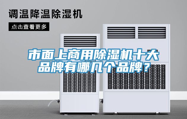 市麵上商用榴莲视频官网APP十大品牌有哪幾個品牌？