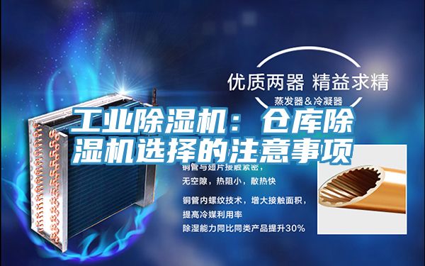 工業榴莲视频官网APP：倉庫榴莲视频官网APP選擇的注意事項