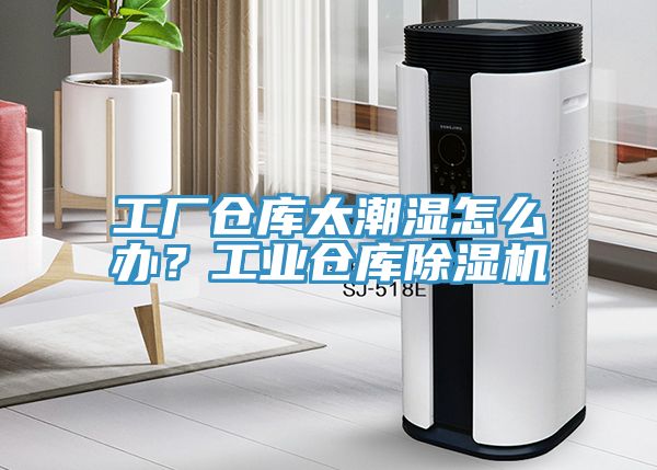 工廠倉庫太潮濕怎麽辦？工業倉庫榴莲视频官网APP