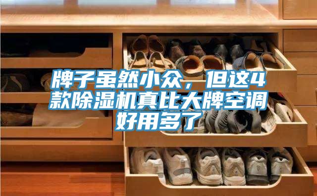 牌子雖然小眾，但這4款榴莲视频官网APP真比大牌空調好用多了