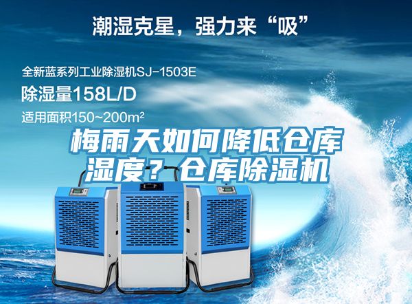 梅雨天如何降低倉庫濕度？倉庫榴莲视频官网APP
