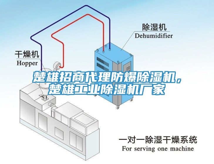 楚雄招商代理防爆榴莲视频官网APP，楚雄工業榴莲视频官网APP廠家
