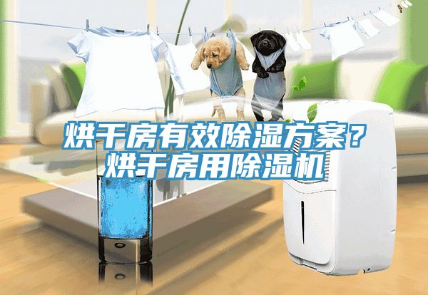 烘幹房有效除濕方案？烘幹房用榴莲视频官网APP