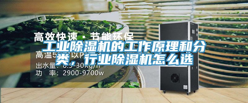 工業榴莲视频官网APP的工作原理和分類，行業榴莲视频官网APP怎麽選
