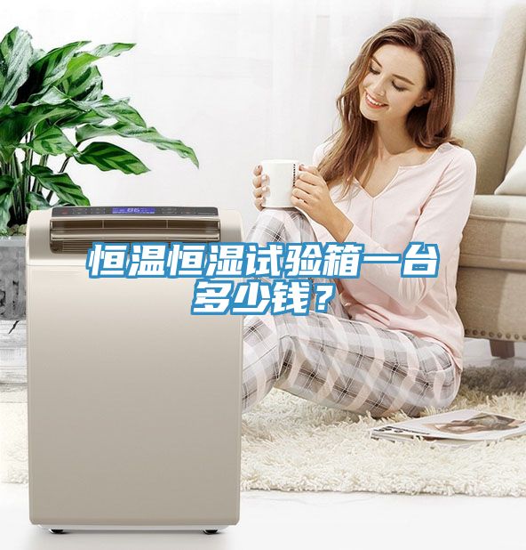 恒溫恒濕試驗箱一台多少錢？