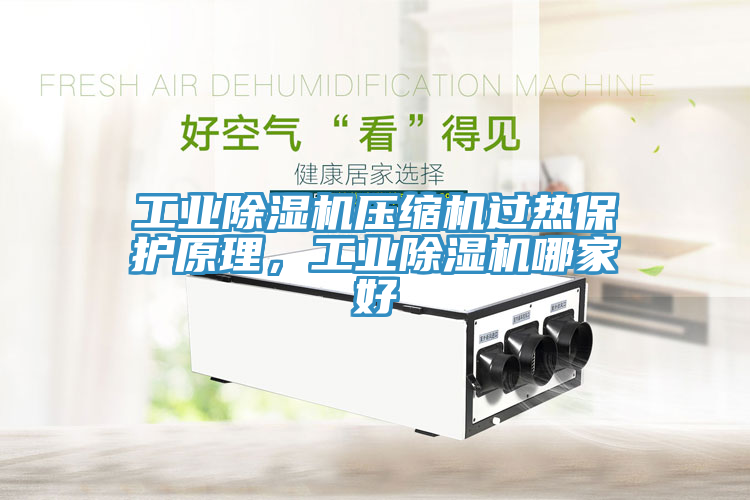 工業榴莲视频官网APP壓縮機過熱保護原理，工業榴莲视频官网APP哪家好