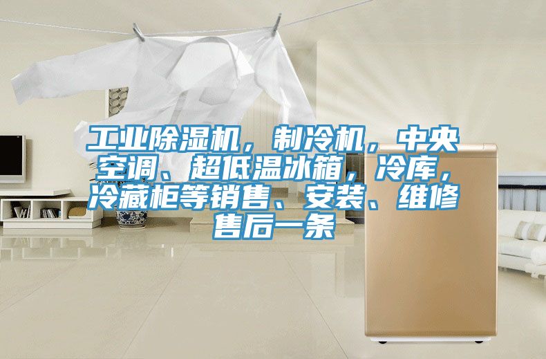 工業榴莲视频官网APP，製冷機，中央空調、超低溫冰箱，冷庫，冷藏櫃等銷售、安裝、維修售後一條