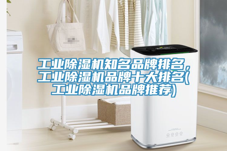 工業榴莲视频官网APP知名品牌排名，工業榴莲视频官网APP品牌十大排名(工業榴莲视频官网APP品牌推薦)