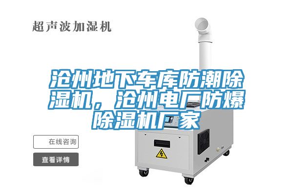 滄州地下車庫防潮榴莲视频官网APP，滄州電廠防爆榴莲视频官网APP廠家