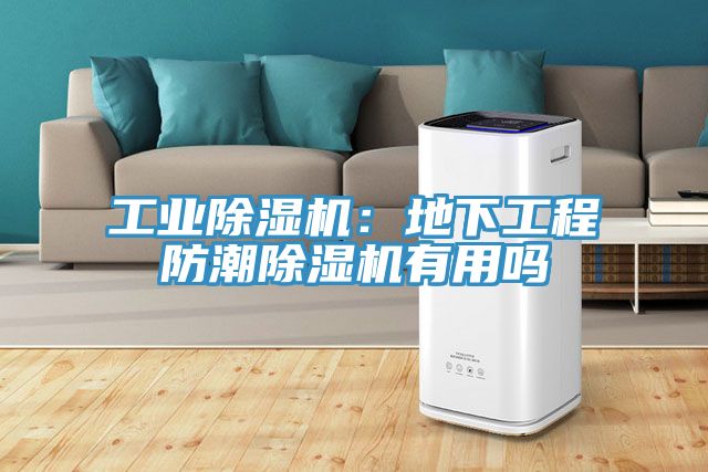 工業榴莲视频官网APP：地下工程防潮榴莲视频官网APP有用嗎