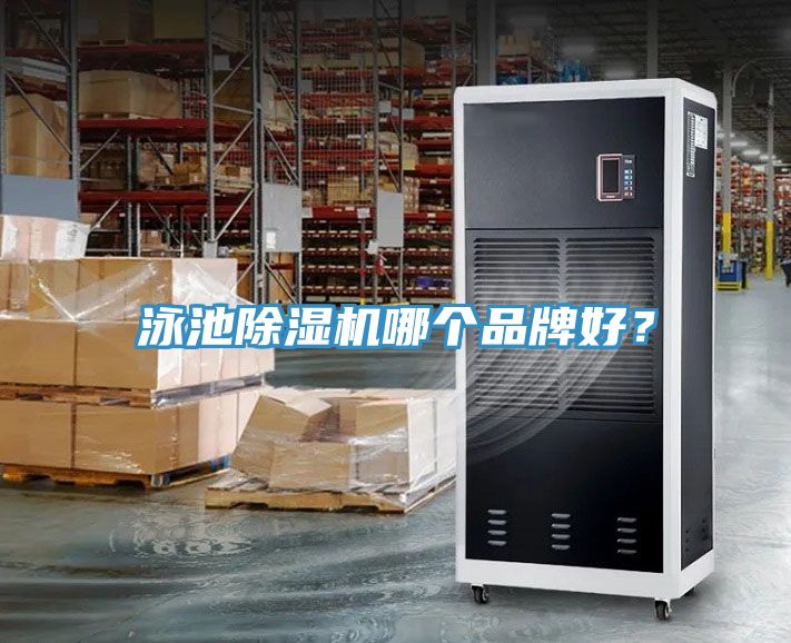 泳池榴莲视频官网APP哪個品牌好？