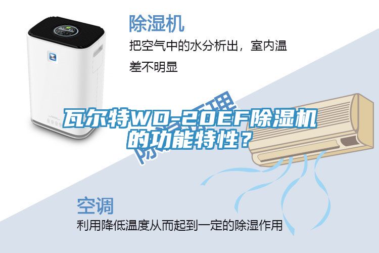 瓦爾特WD-20EF榴莲视频官网APP的功能特性？