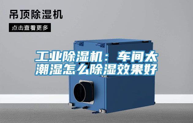 工業榴莲视频官网APP：車間太潮濕怎麽除濕效果好