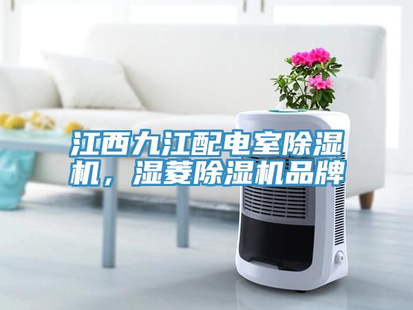 江西九江配電室榴莲视频官网APP，濕菱榴莲视频官网APP品牌