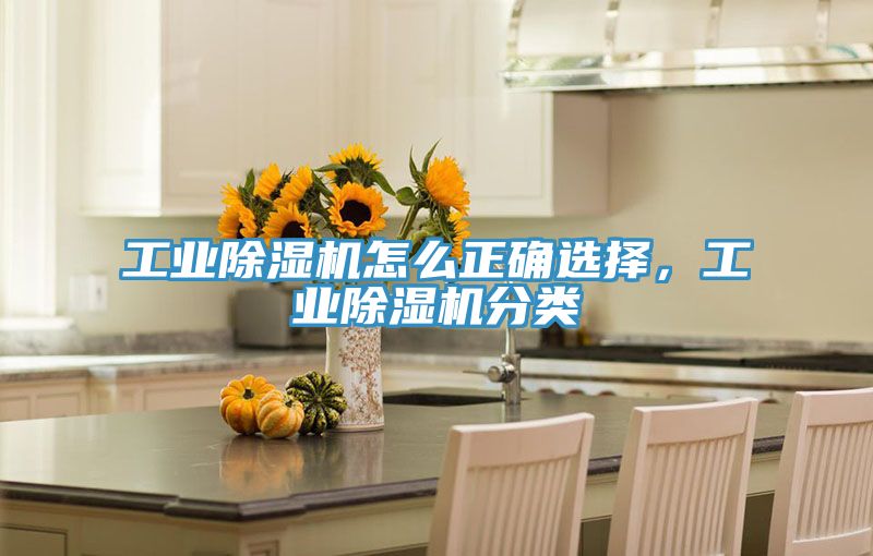 工業榴莲视频官网APP怎麽正確選擇，工業榴莲视频官网APP分類