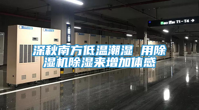 深秋南方低溫潮濕 用榴莲视频官网APP除濕來增加體感