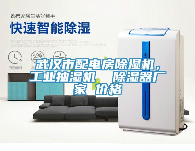 武漢市配電房榴莲视频官网APP，工業抽濕機  除濕器廠家 價格