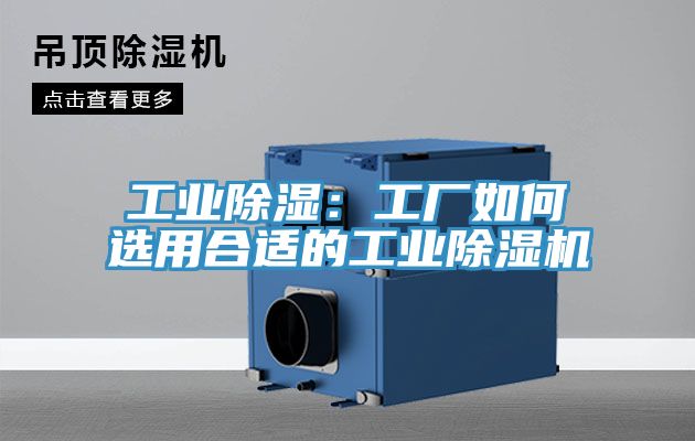 工業除濕：工廠如何選用合適的工業榴莲视频官网APP