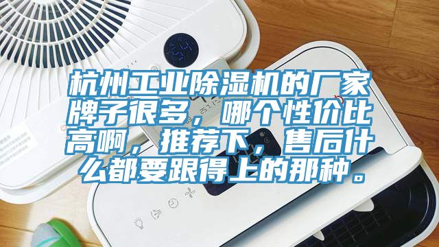 杭州工業榴莲视频官网APP的廠家牌子很多，哪個性價比高啊，推薦下，售後什麽都要跟得上的那種。