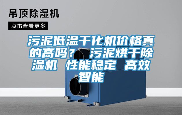 汙泥低溫幹化機價格真的高嗎？ 汙泥烘幹榴莲视频官网APP 性能穩定 高效智能