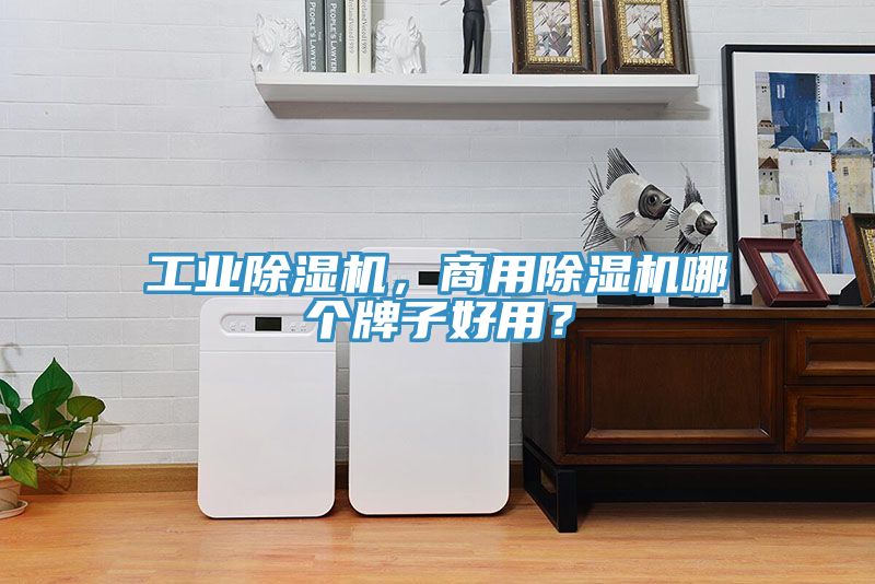 工業榴莲视频官网APP，商用榴莲视频官网APP哪個牌子好用？