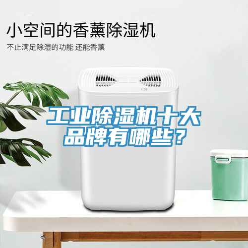 工業榴莲视频官网APP十大品牌有哪些？