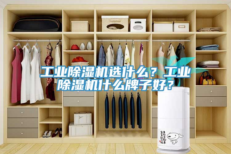 工業榴莲视频官网APP選什麽？工業榴莲视频官网APP什麽牌子好？