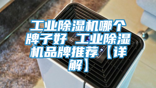 工業榴莲视频官网APP哪個牌子好 工業榴莲视频官网APP品牌推薦【詳解】