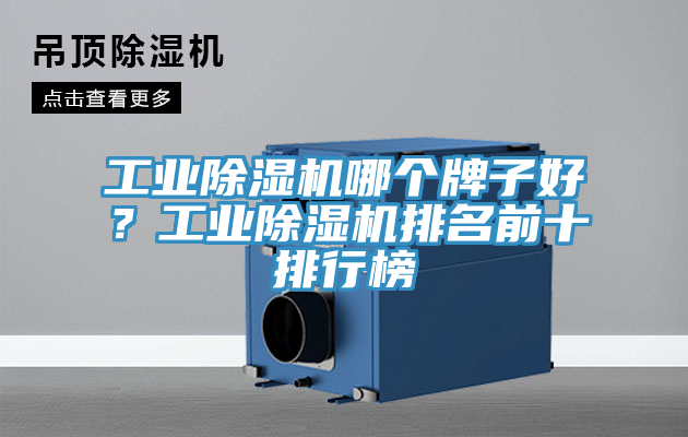 工業榴莲视频官网APP哪個牌子好？工業榴莲视频官网APP排名前十排行榜