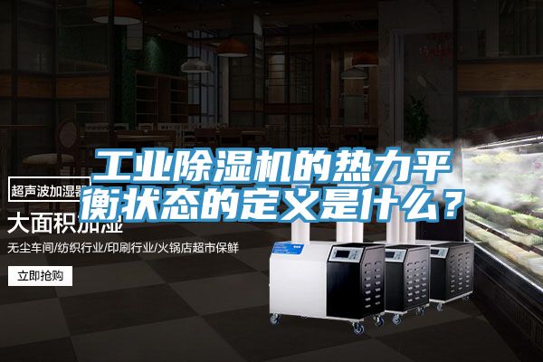工業榴莲视频官网APP的熱力平衡狀態的定義是什麽？