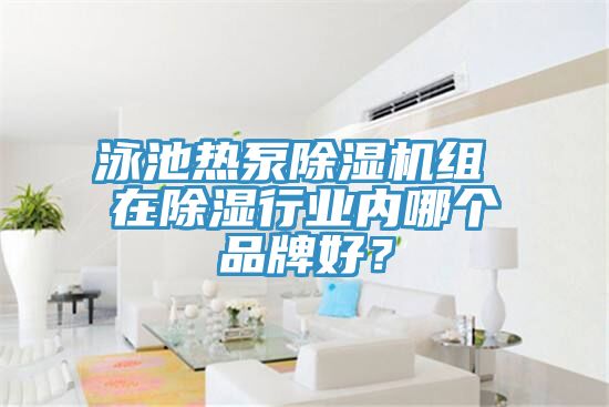 泳池熱泵榴莲视频官网APP組 在除濕行業內哪個品牌好？