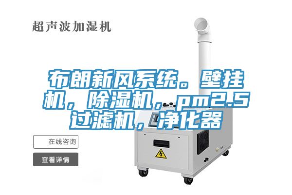 布朗新風係統。壁掛機，榴莲视频官网APP，pm2.5過濾機，淨化器