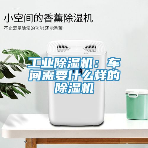 工業榴莲视频官网APP：車間需要什麽樣的榴莲视频官网APP
