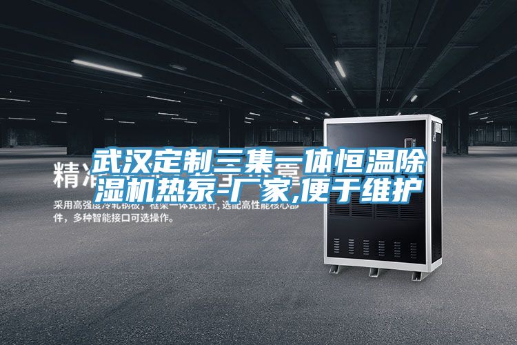 武漢定製三集一體恒溫榴莲视频官网APP熱泵-廠家,便於維護