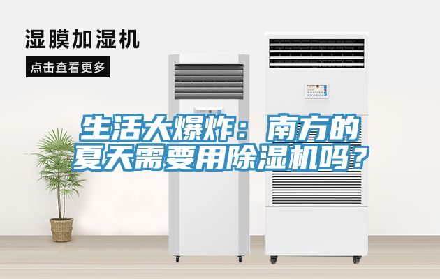 生活大爆炸：南方的夏天需要用榴莲视频官网APP嗎？